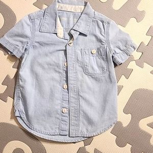 Toddler boys button down short sleeve